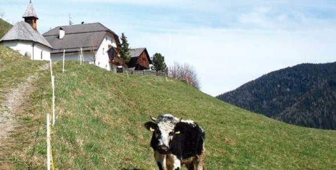 Berggasthof Trattes Olang Exteriör bild